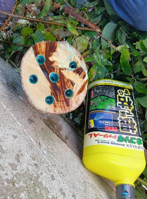 マンションの樹木伐採と照明器具交換工事(東京都杉並区)