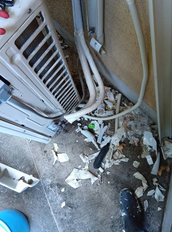 室外機に侵入したタヌキの対処(横浜市鶴見区)